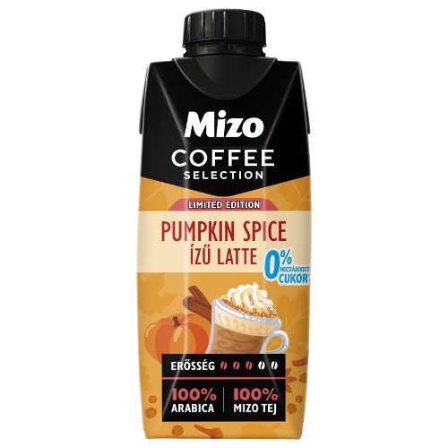 Pumpkin Spice latte 330ml